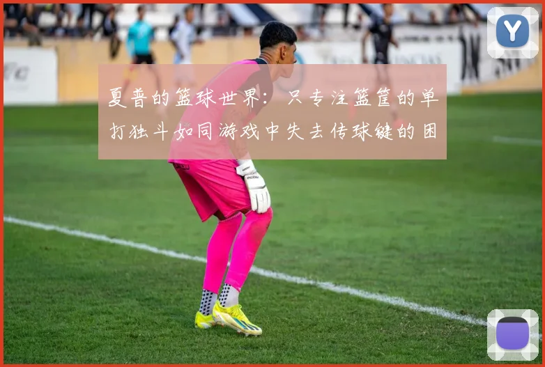 夏普的篮球世界：只专注篮筐的单打独斗如同游戏中失去传球键的困境