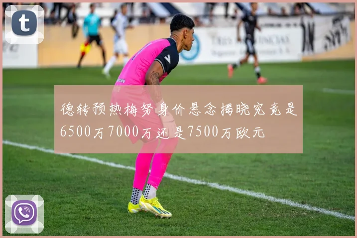 德转预热梅努身价悬念揭晓究竟是6500万7000万还是7500万欧元